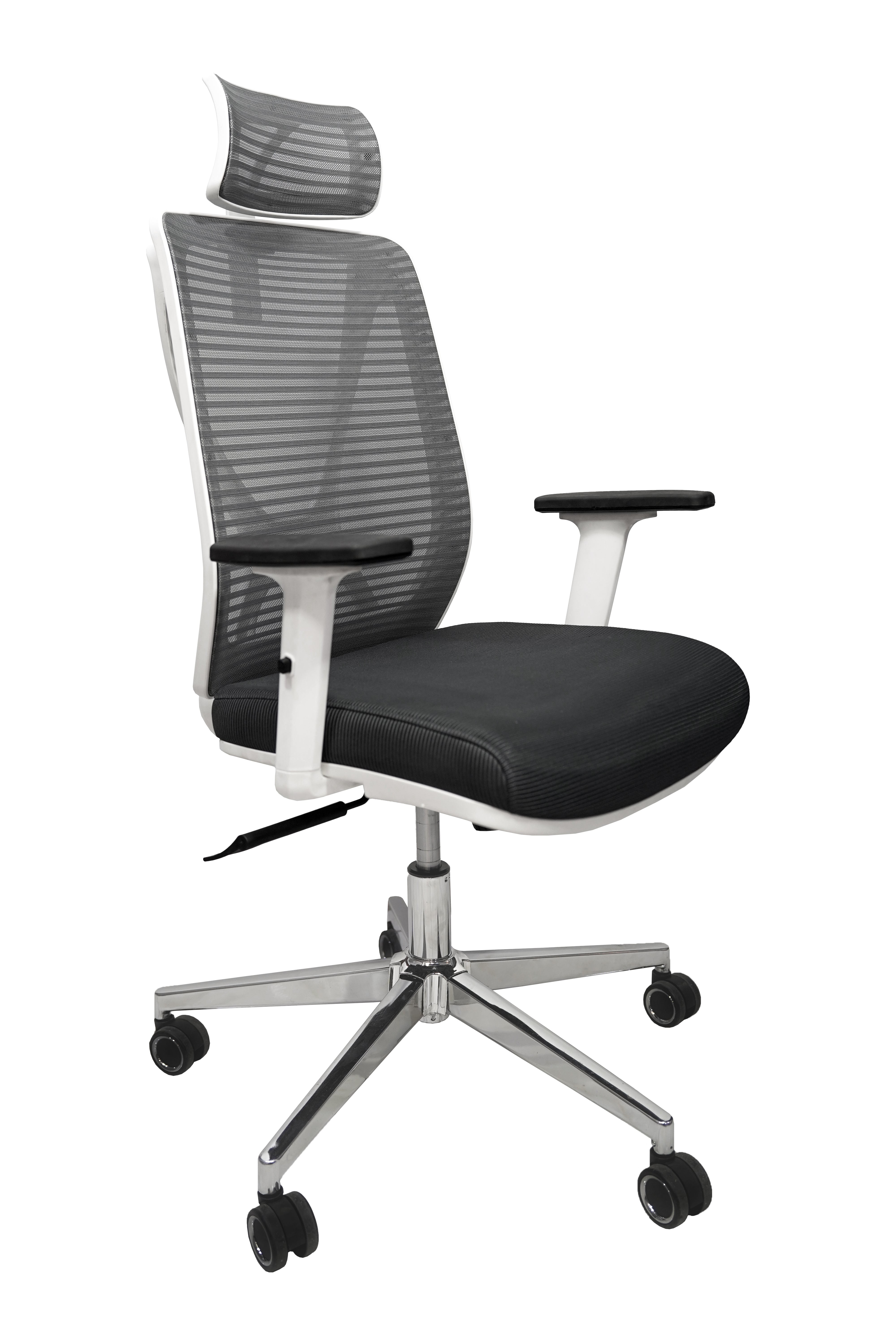 Mariotte Chair Premium Ergonomic Office Chair