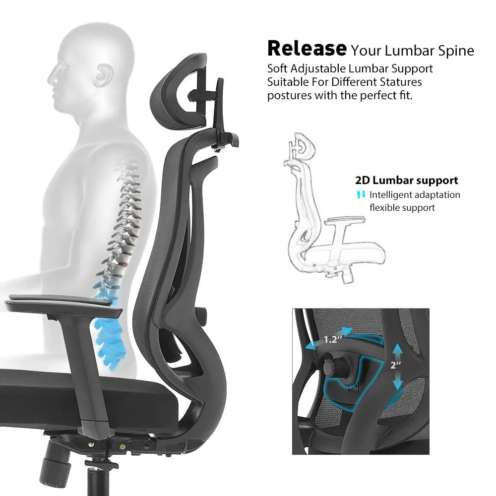 Icon Chair  Modern Ergonomic Office Chair