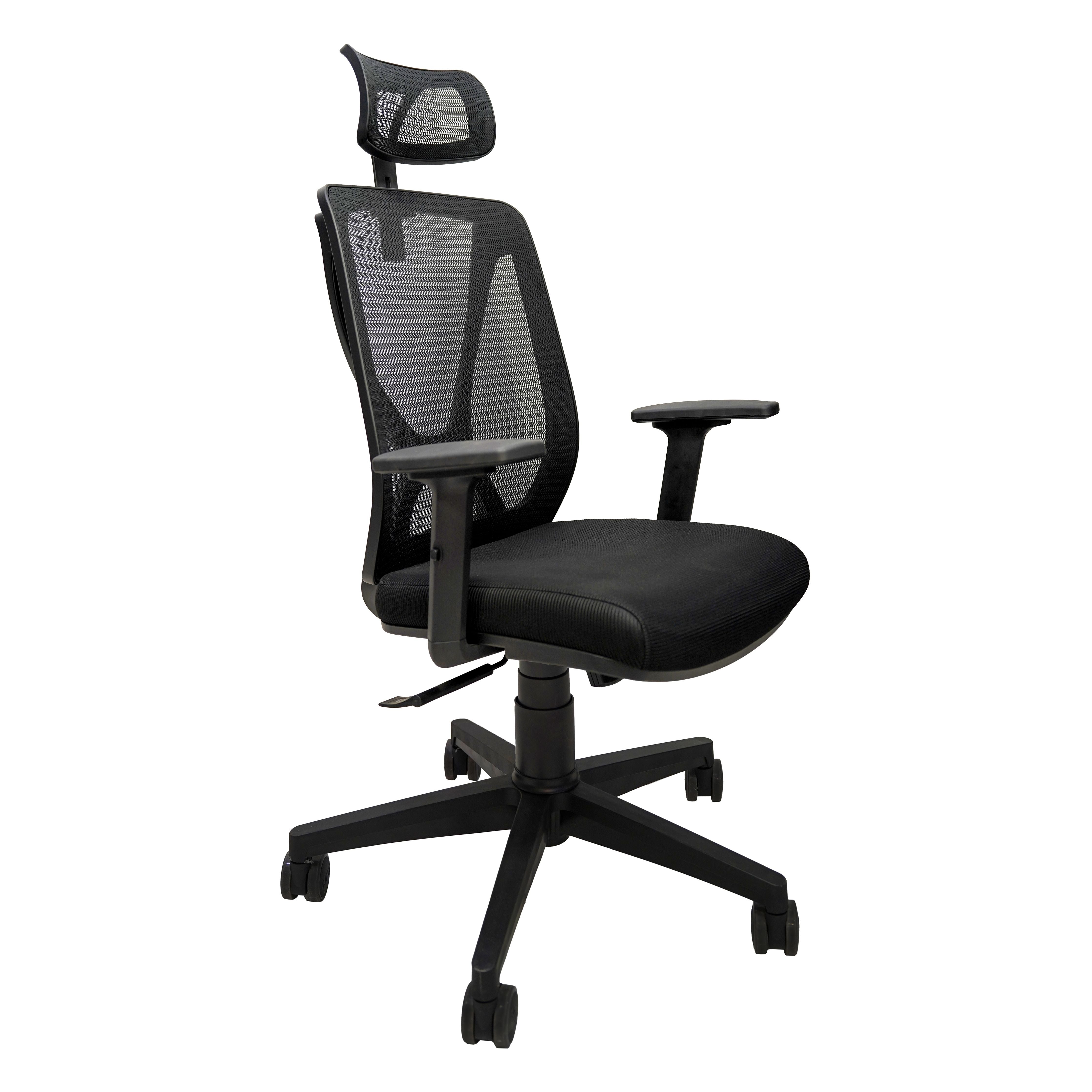 Mariotte Chair  Premium Ergonomic Office Chair
