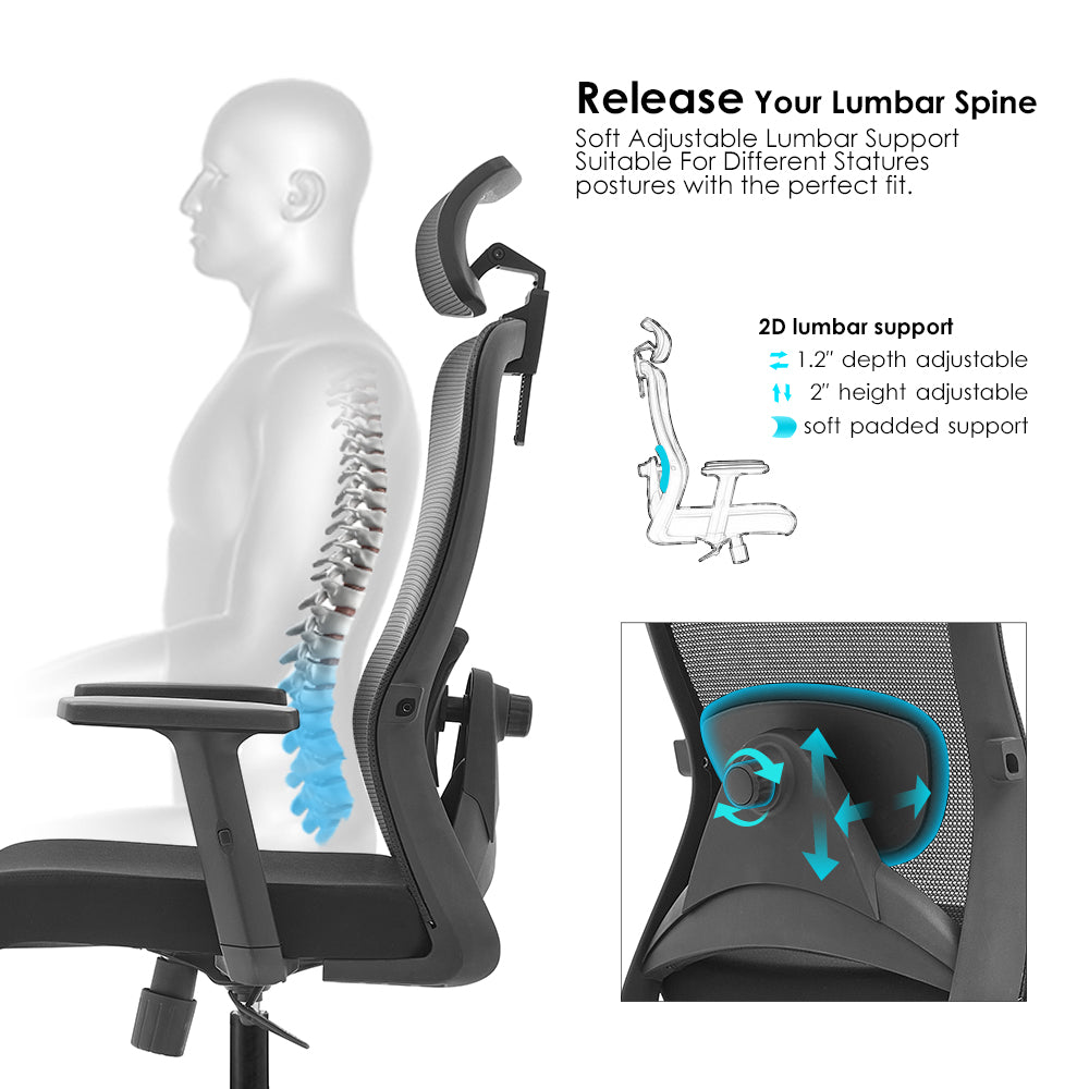 Sammy Office Chair  Ergonomic Office Chair for Everyday Comfort