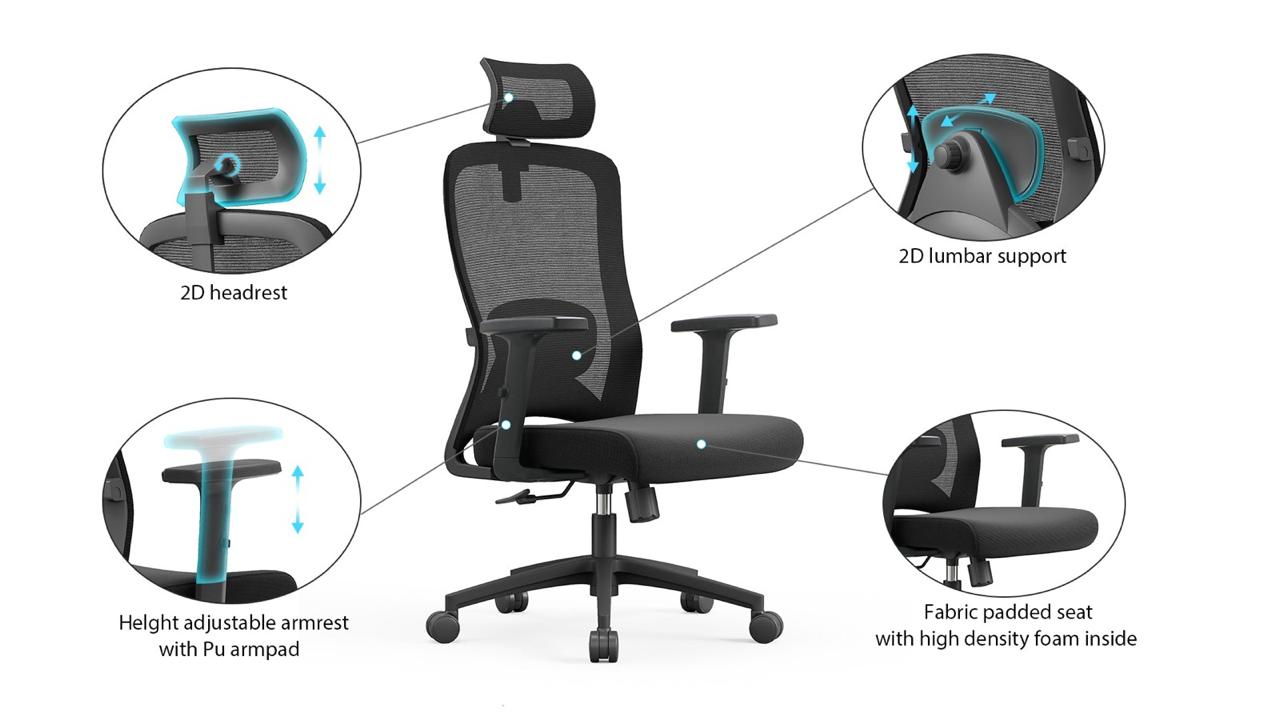 Sammy Office Chair  Ergonomic Office Chair for Everyday Comfort